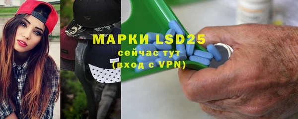 индика Бронницы