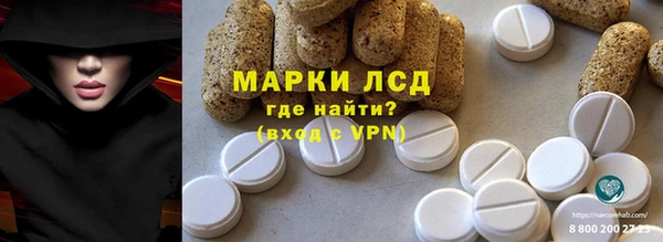 индика Бронницы