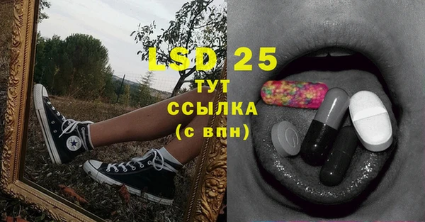 индика Бронницы
