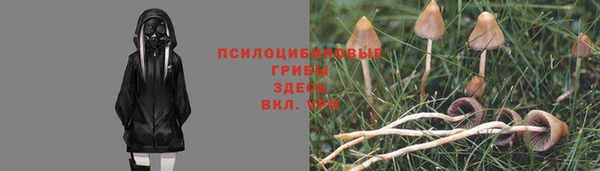индика Бронницы