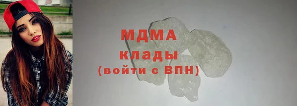 индика Бронницы