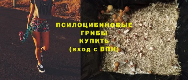 индика Бронницы