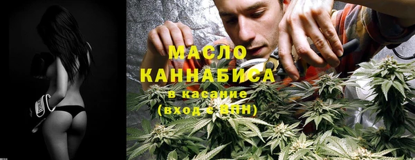 индика Бронницы