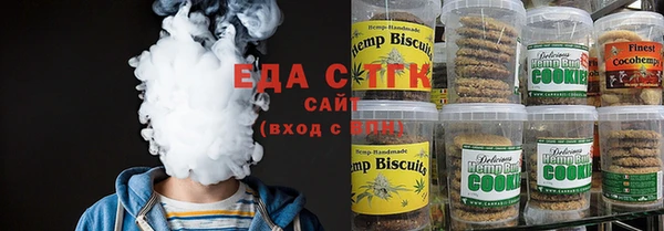 индика Бронницы